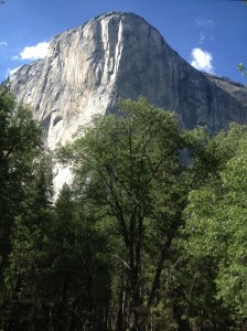 I took this photo at Yosemite National Park.